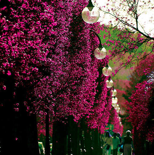 Latrin på höggatan D10/K1